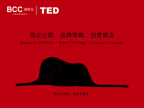 1525430815820150.jpg TED2.jpg